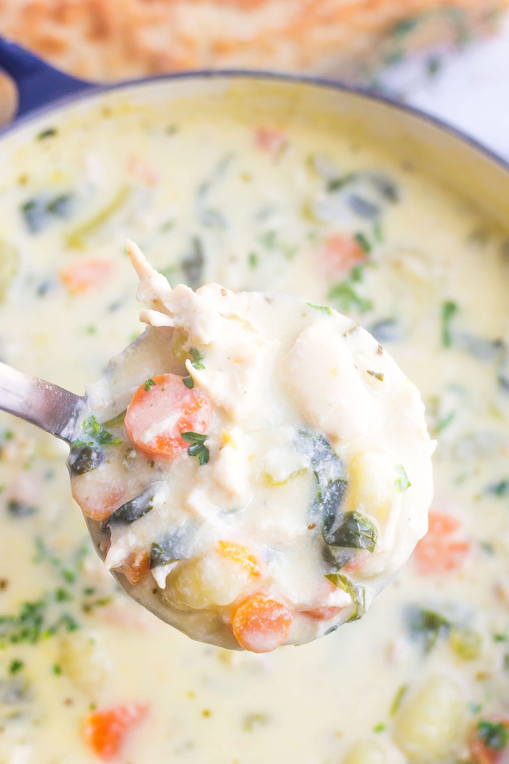one spoonful of chicken gnocchi soup above pot