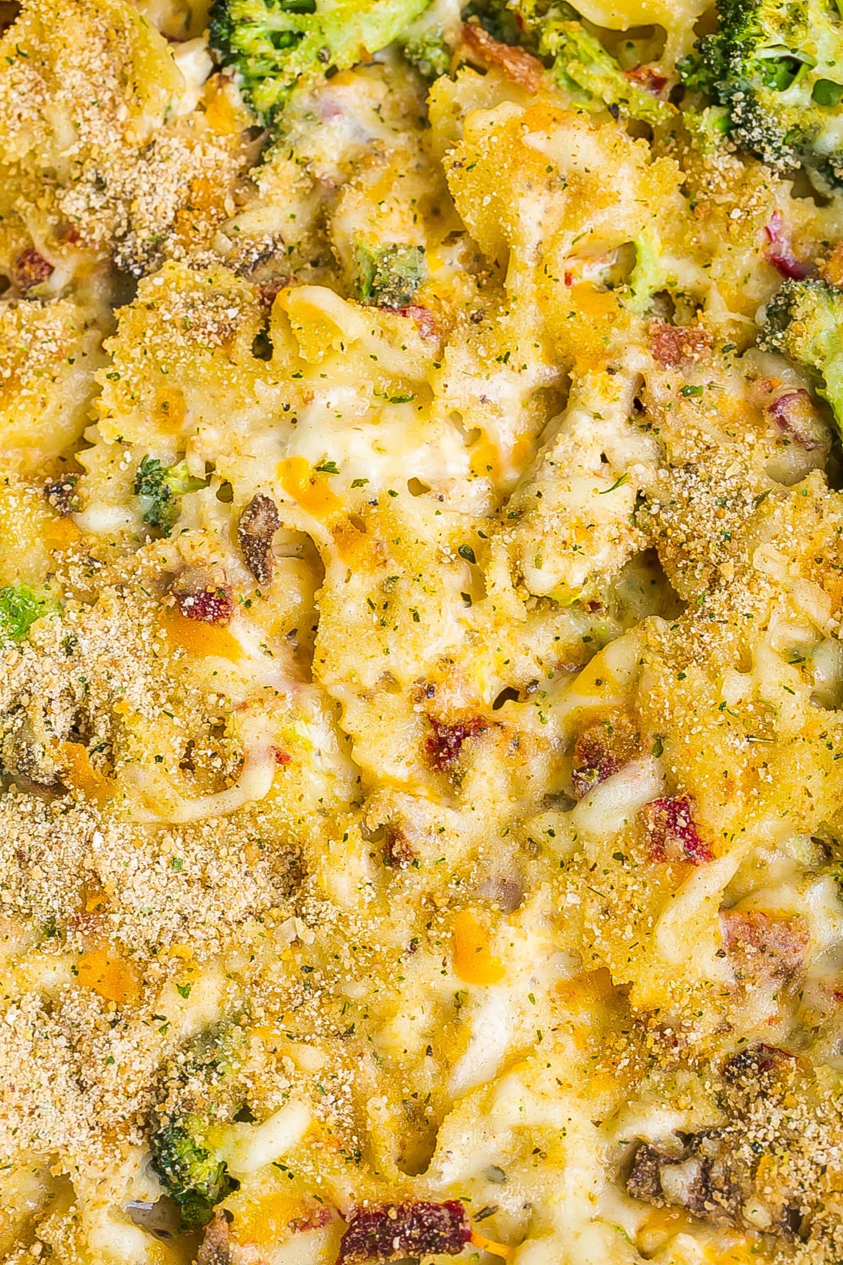 Cheesy Chicken Pasta in a casserole dish.